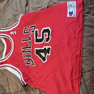 Vintage Champion Michael Jordan Jersey. 45. THE RETURN!